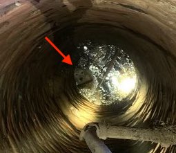 Dog_Falls_Into_Well_Beaverton_Aloha_04