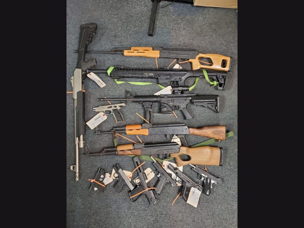 12 guns found with marijuana