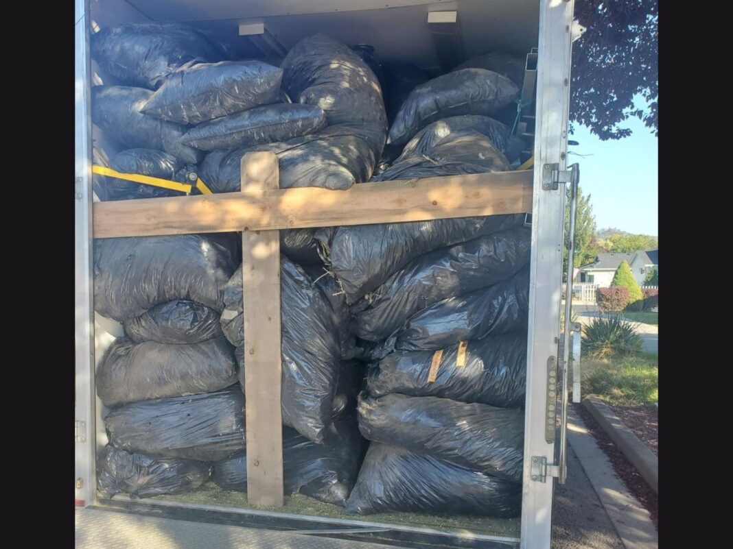 9000 lbs of marijuana seized oregon