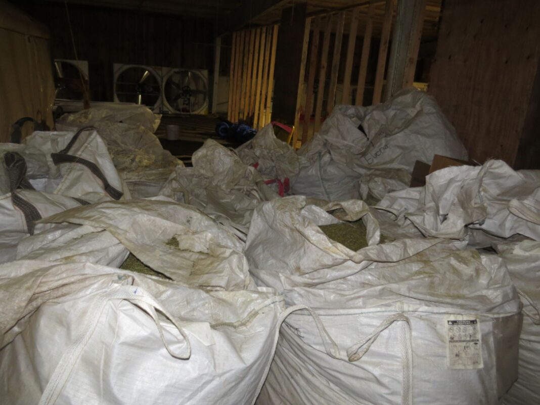 marijuana in big bags storage facility