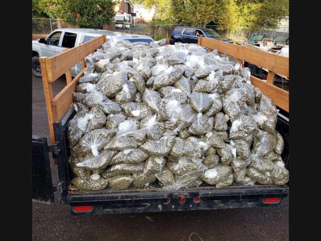 marijuana in trailer, small bags