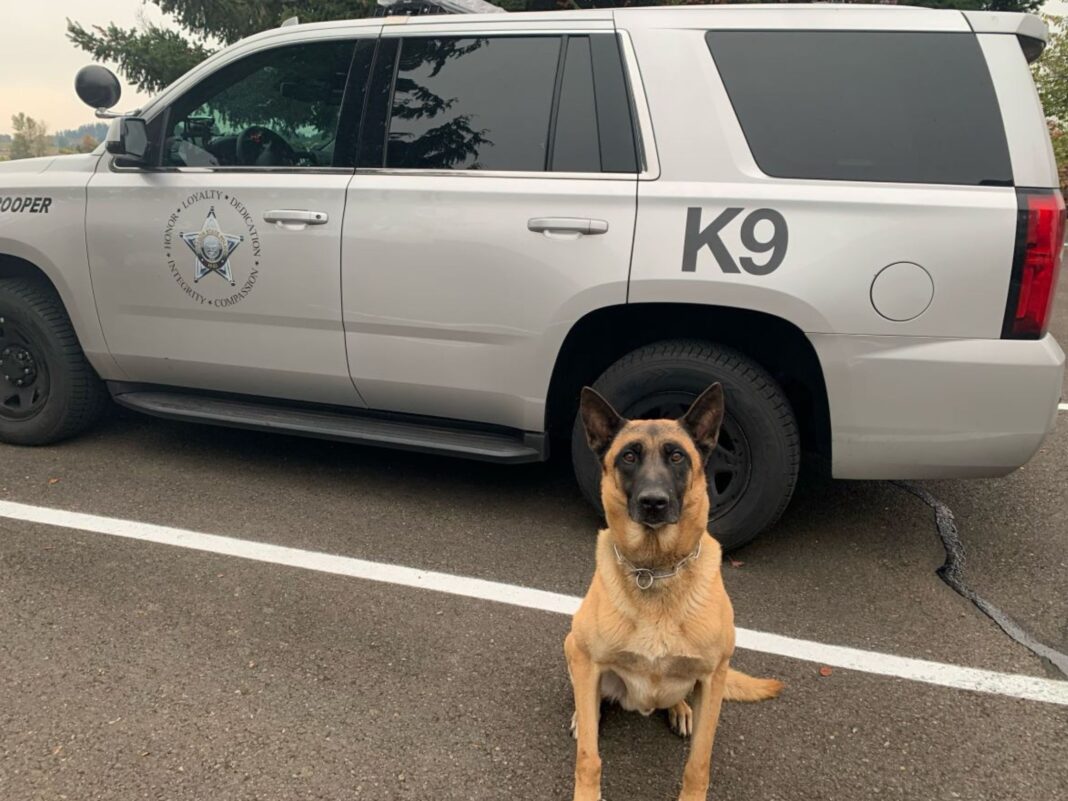 K9 assists in discovery of illegal drugs