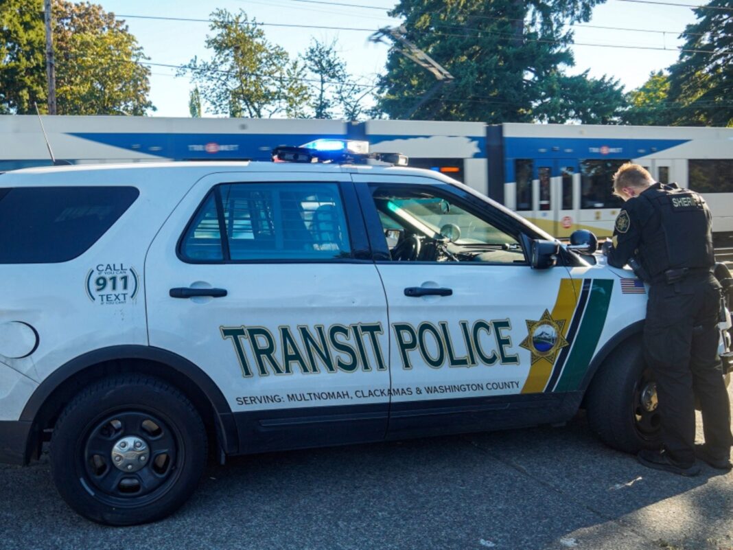 Transit Police deputy investigating a crime (1)