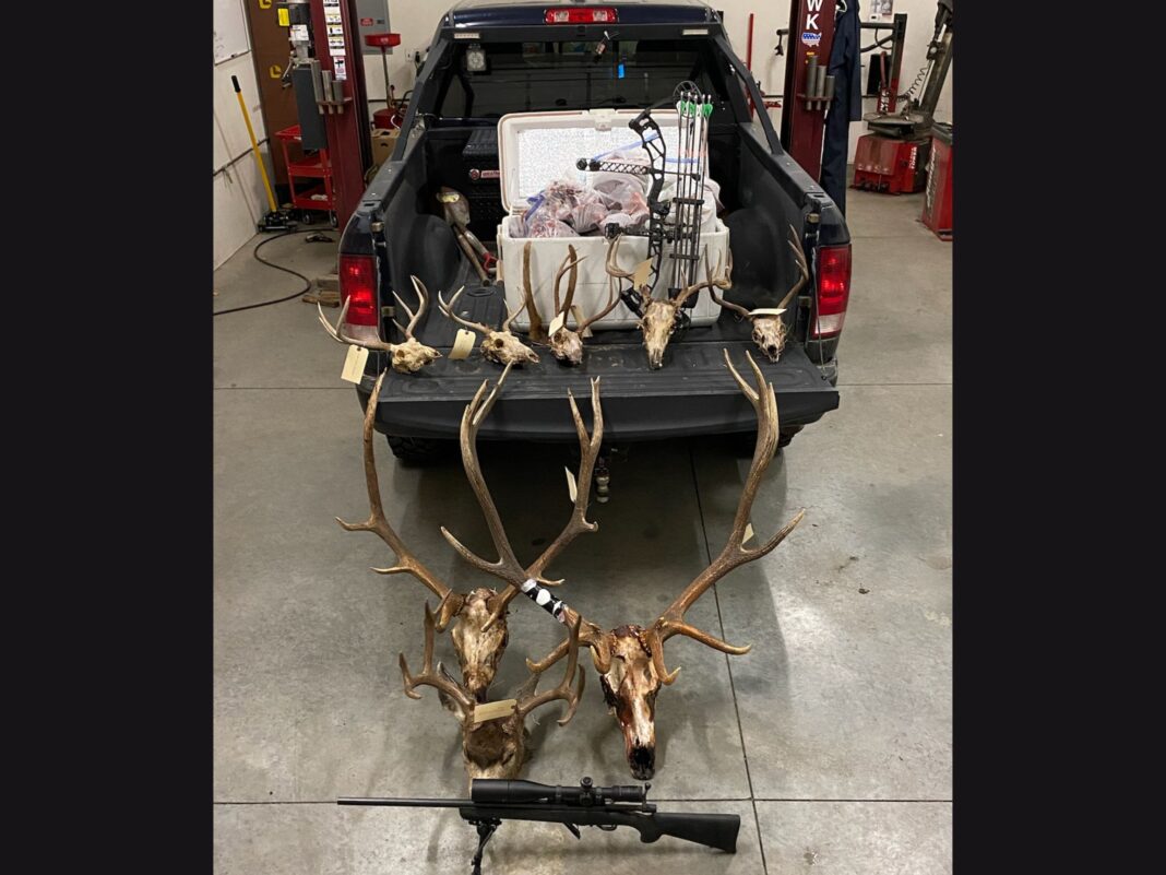 illegal hunting equipment and elkdeer antlers