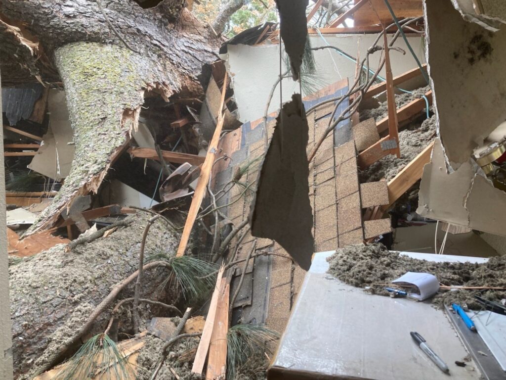 fallen tree inside of house in se portland