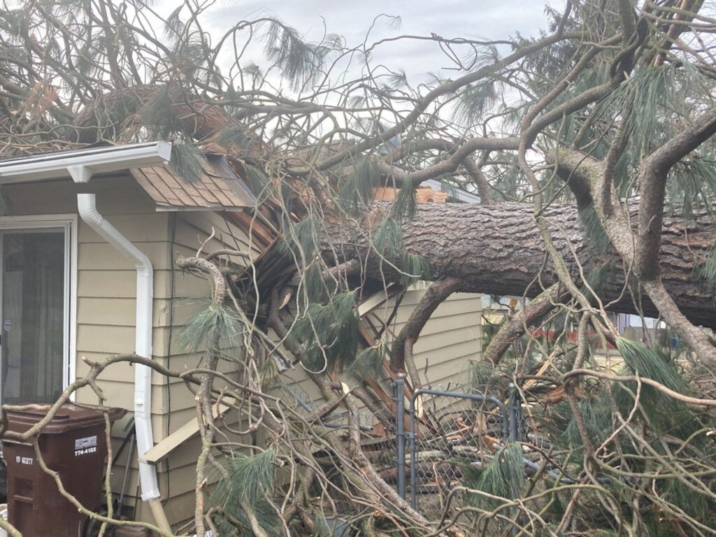 fallen tree on side of house in se portland