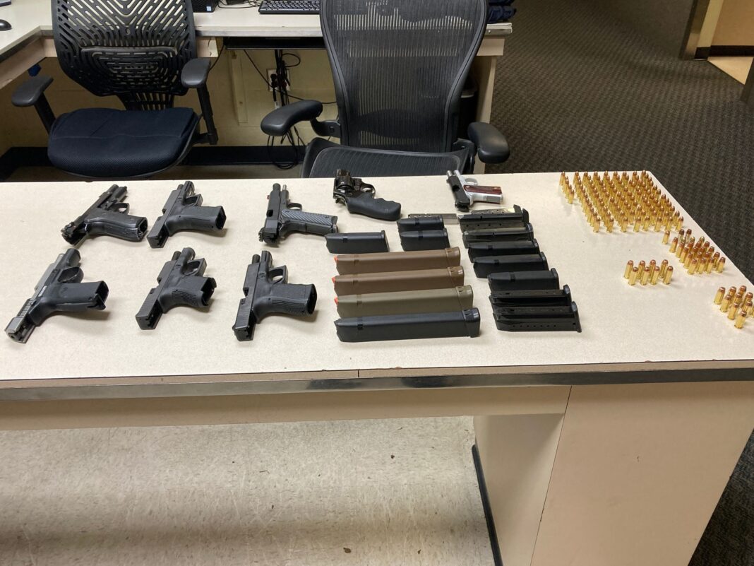 felon in possession of 8 guns