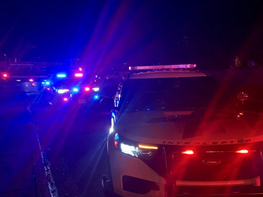 squad cars on site of deadly crash