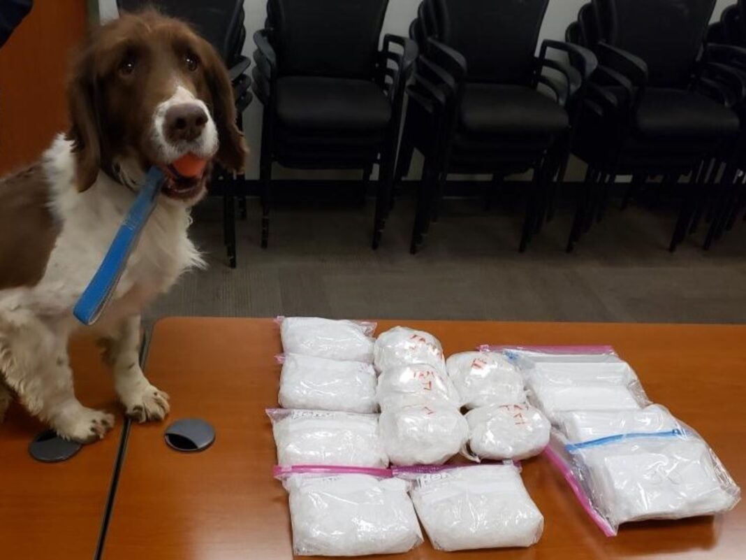 OSP drug seizure, dania marbella banegas-ramos