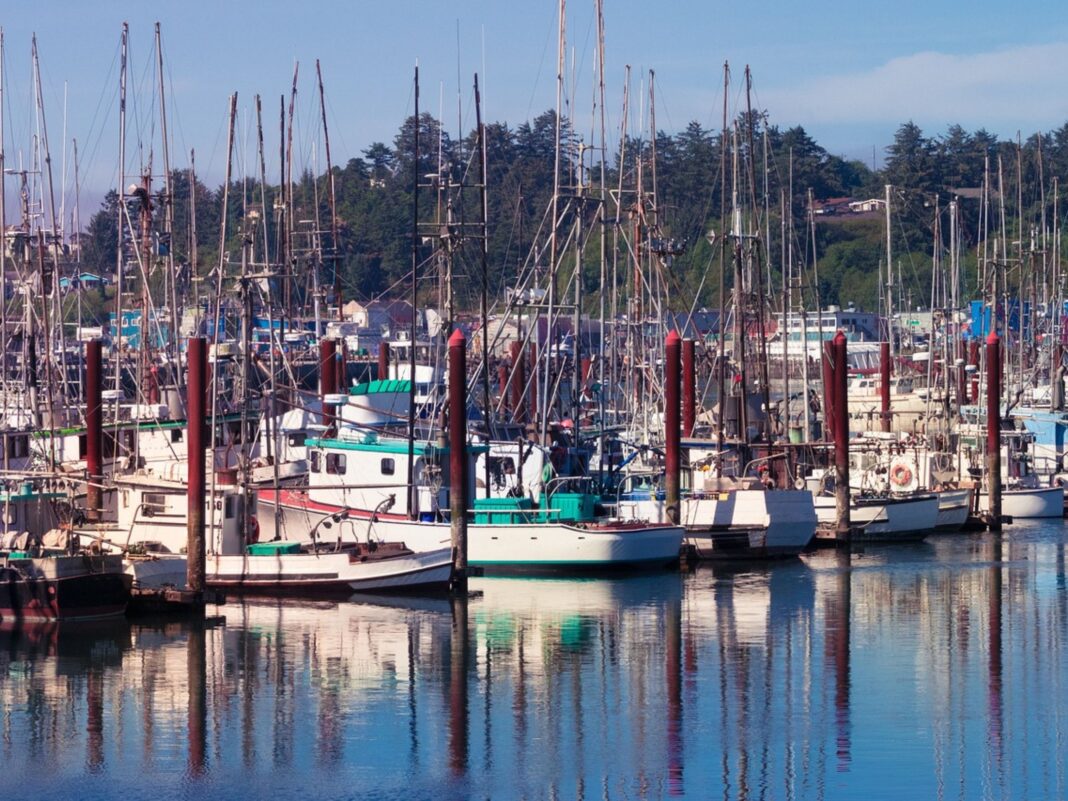 vessel inspections from OSP in may