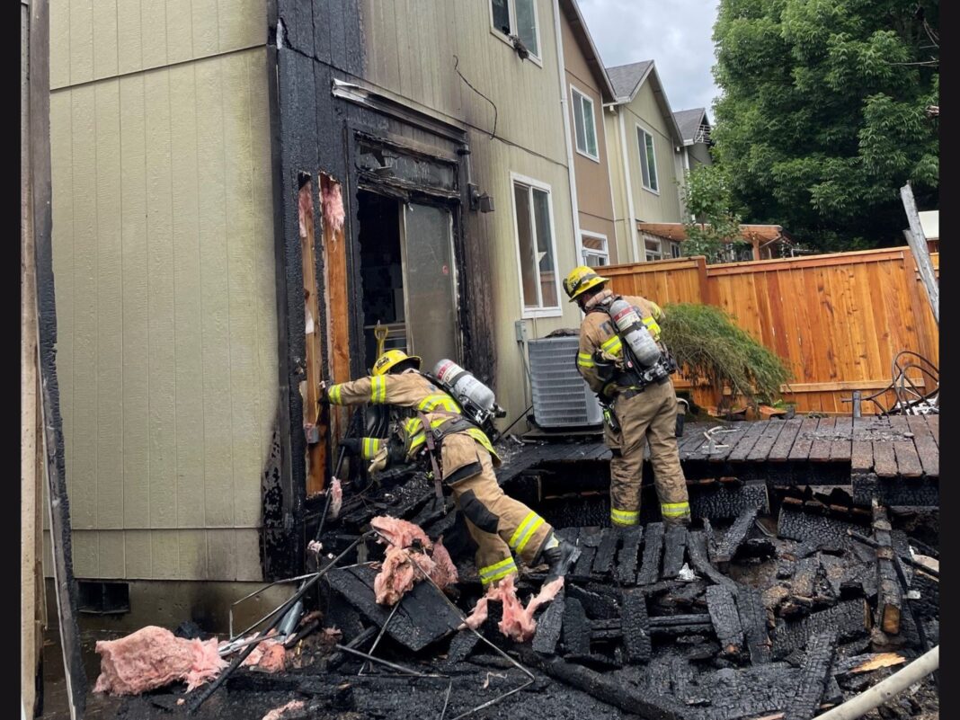 firefighters rescue cats from aloha fire