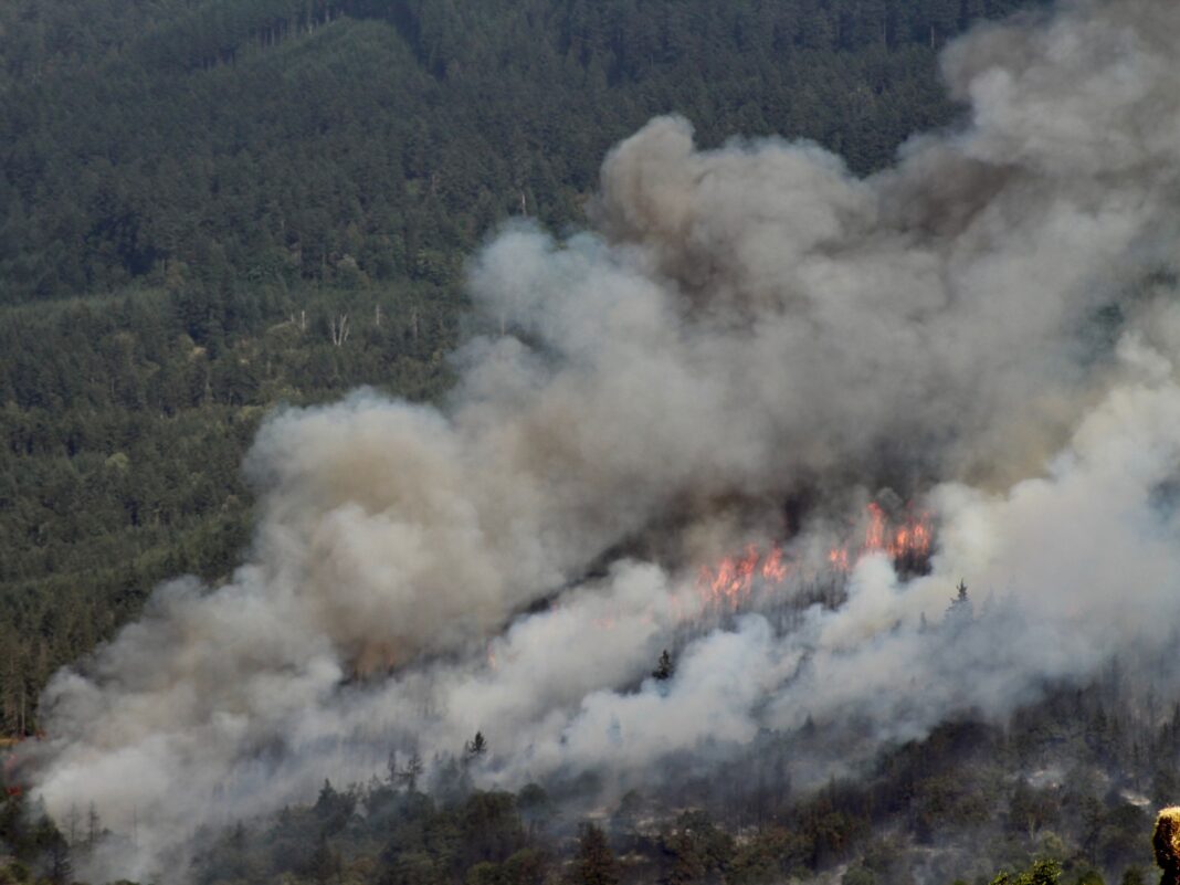 evacuations happening in eugene due to wildfire