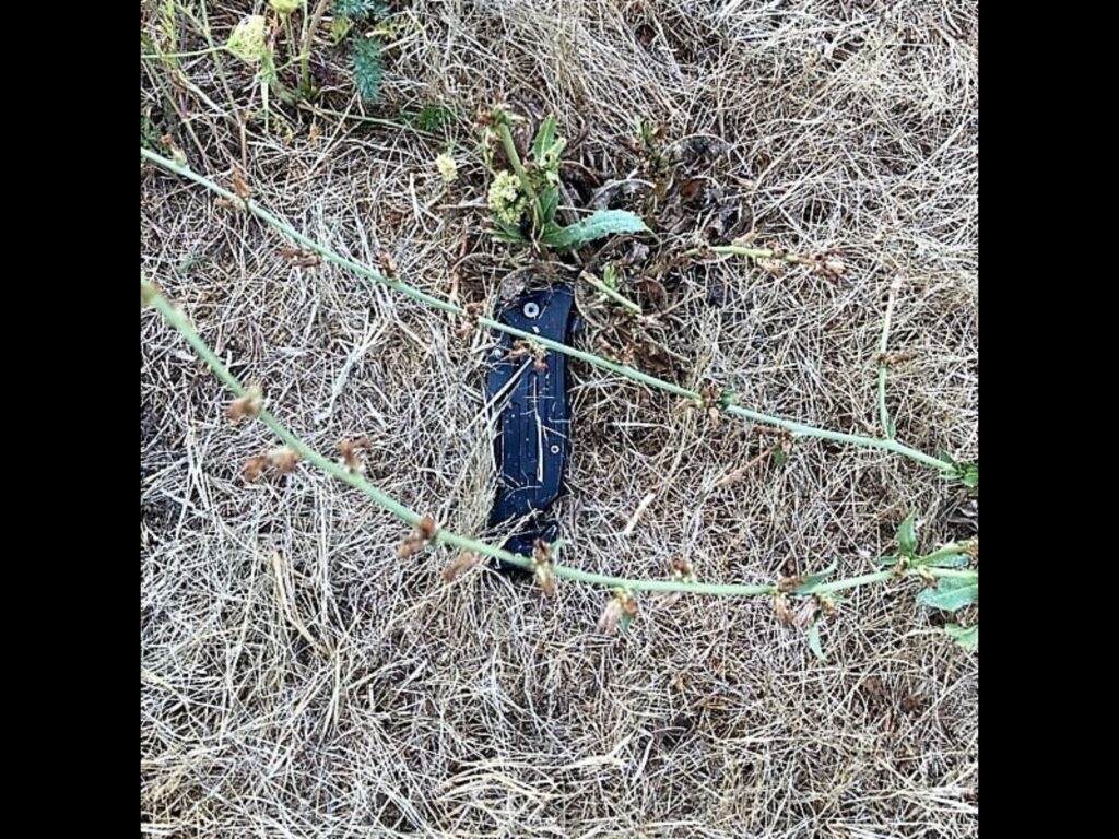 knife possibly used in the stabbing incident