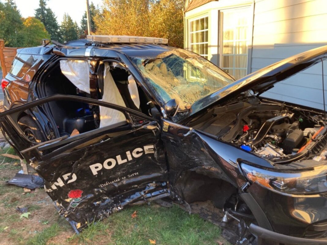 crashed portland police car burglary suspects