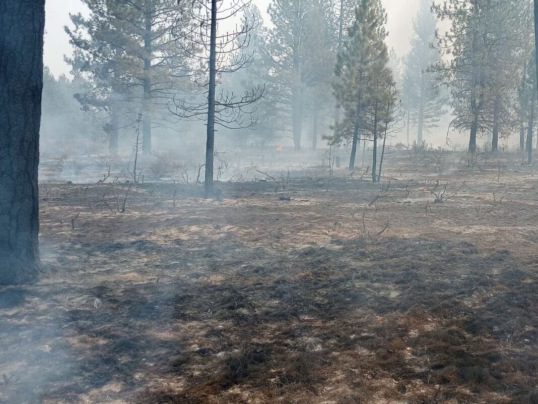 photo of juniper creek fire in sisters oregon