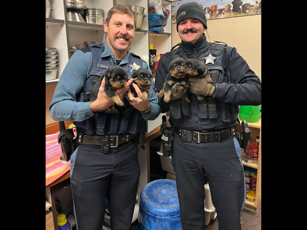 abandoned puppies from u-haul truck with state troopers