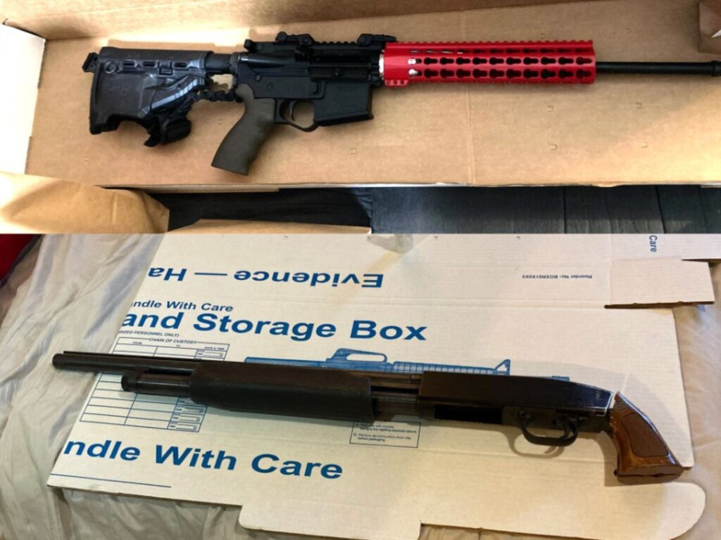 guns seized during arrests tracie harbison