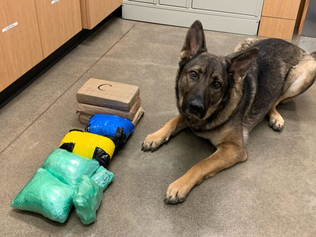 k9 discovers thousands of pills of suspected fentanyl