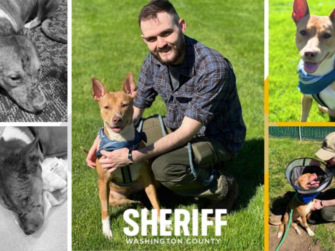 deputy adopts dog who suffered from animal abuse