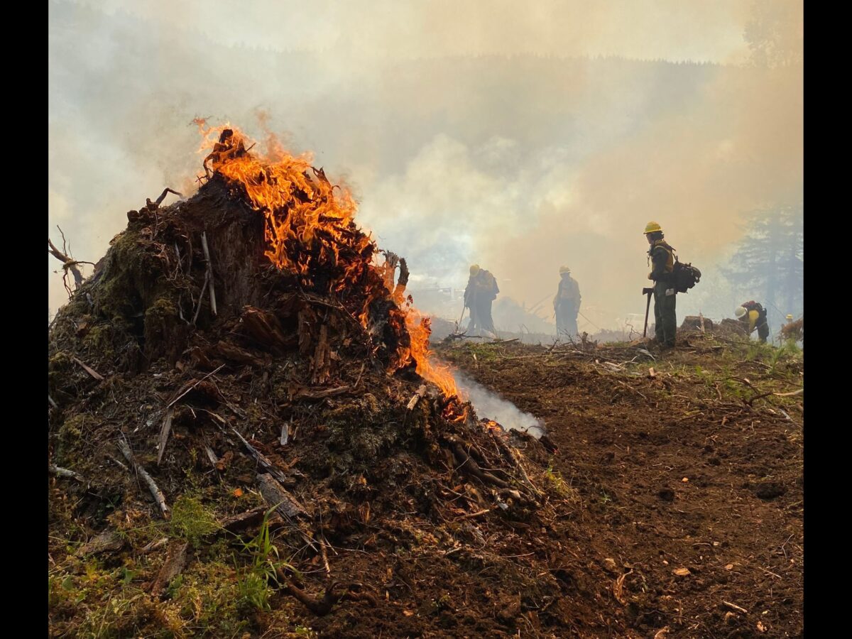 All ODF districts in fire season ahead upcoming heatwave - The Beavertonian