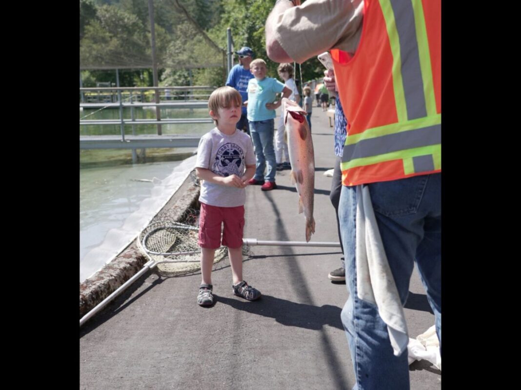 kids with disabilities merwin fish hatchery