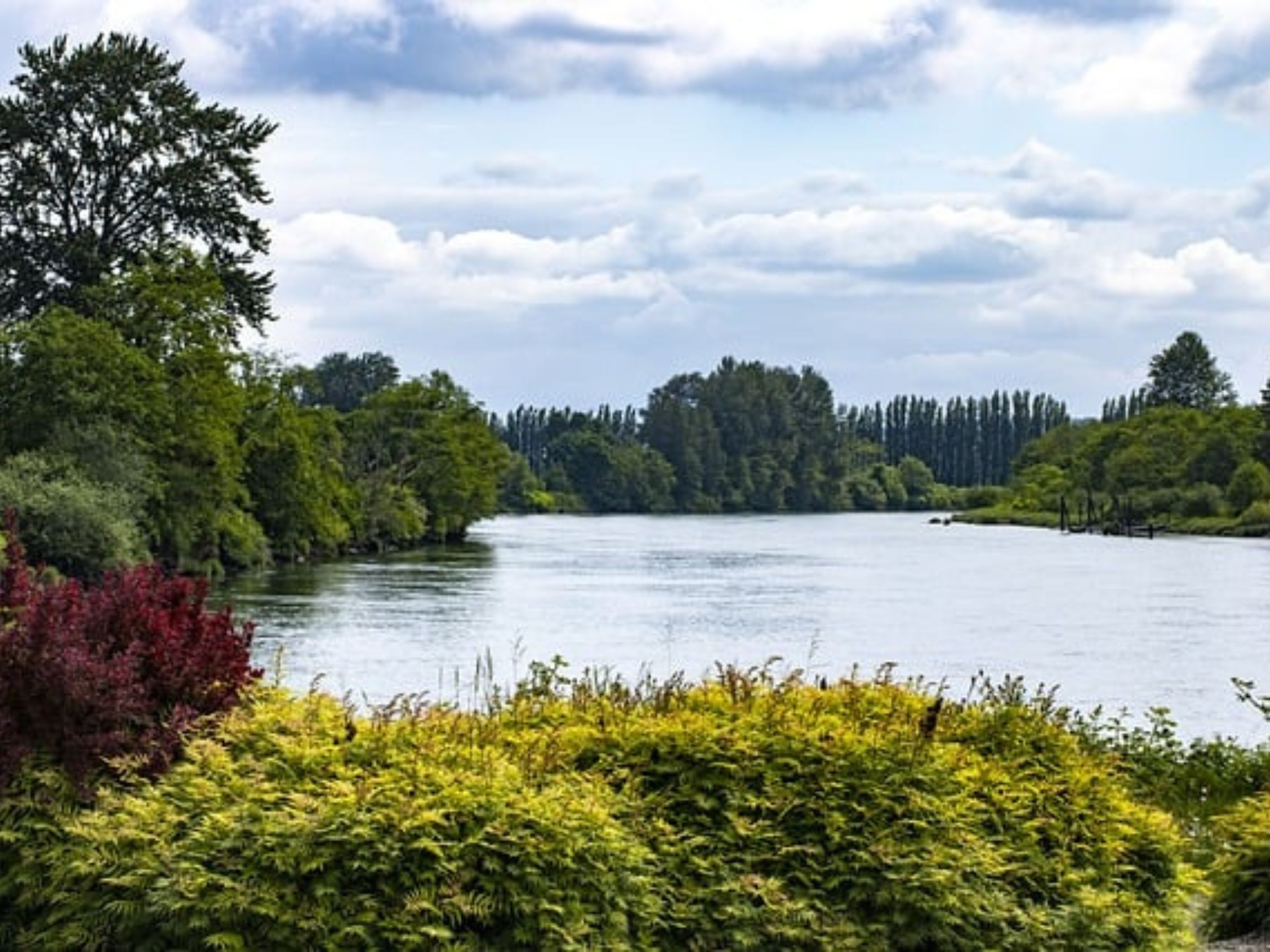 man jumps into tualatin river to escape police