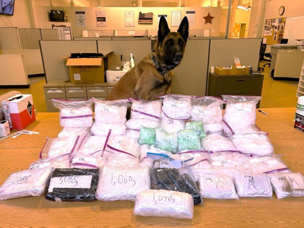 one of the largest drug seizures in portland police history meth heroine