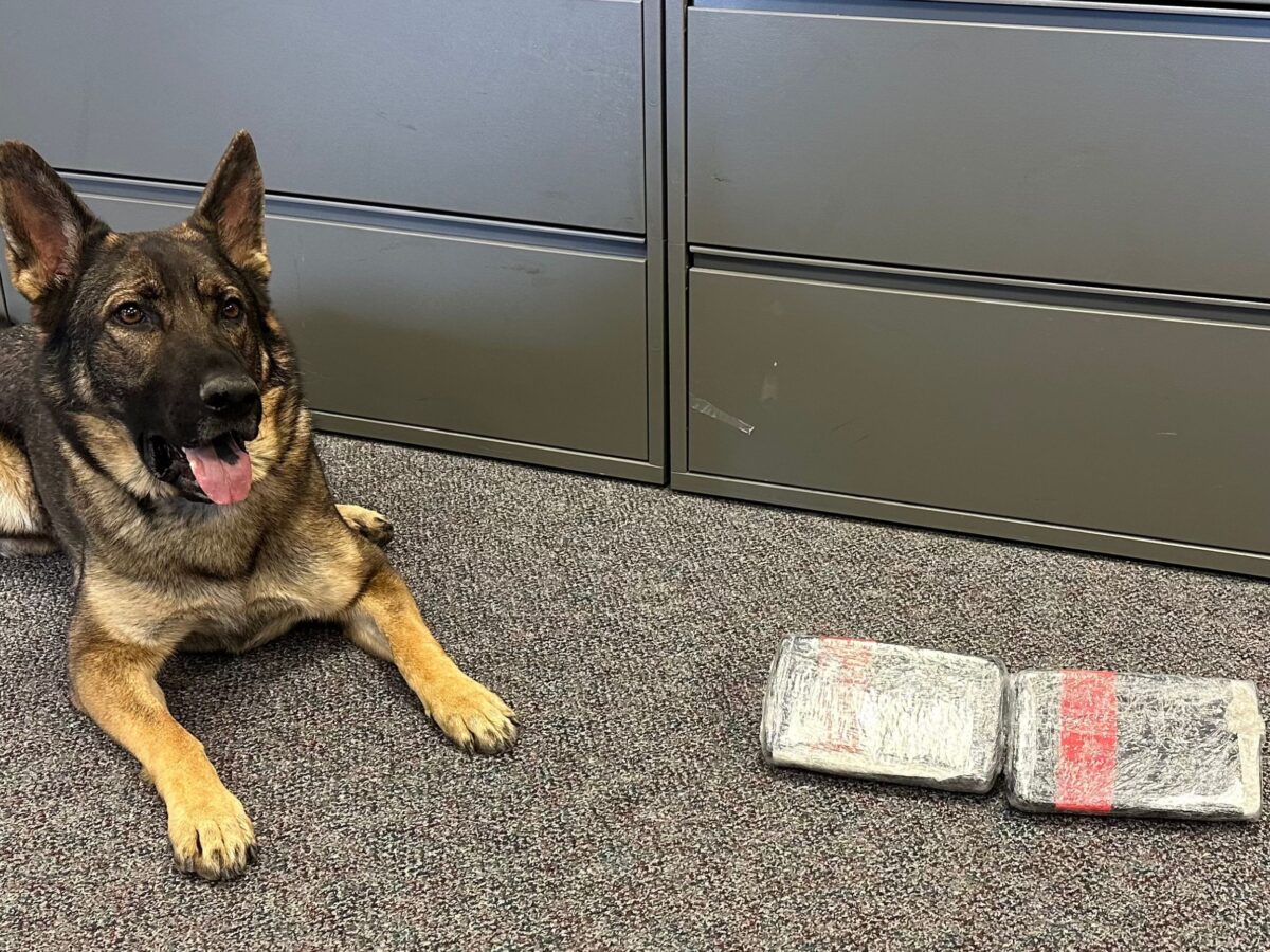 K9 discovers 2 kilograms of fentanyl suspect escapes on foot