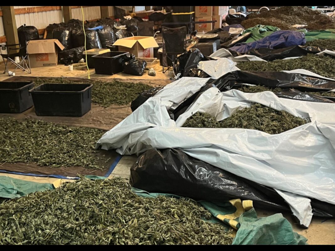 investigation leads to marijuana seizure